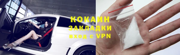дурь Арсеньев