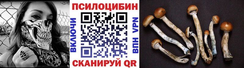 что такое наркотик  Венёв  Галлюциногенные грибы Magic Shrooms 